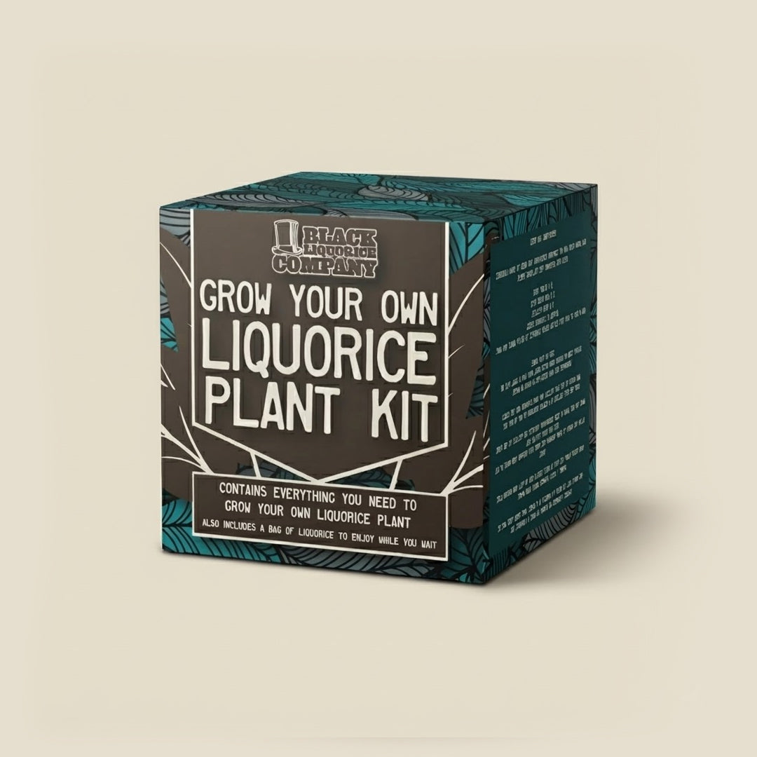 Grow Your Own Liquorice Plant Kit